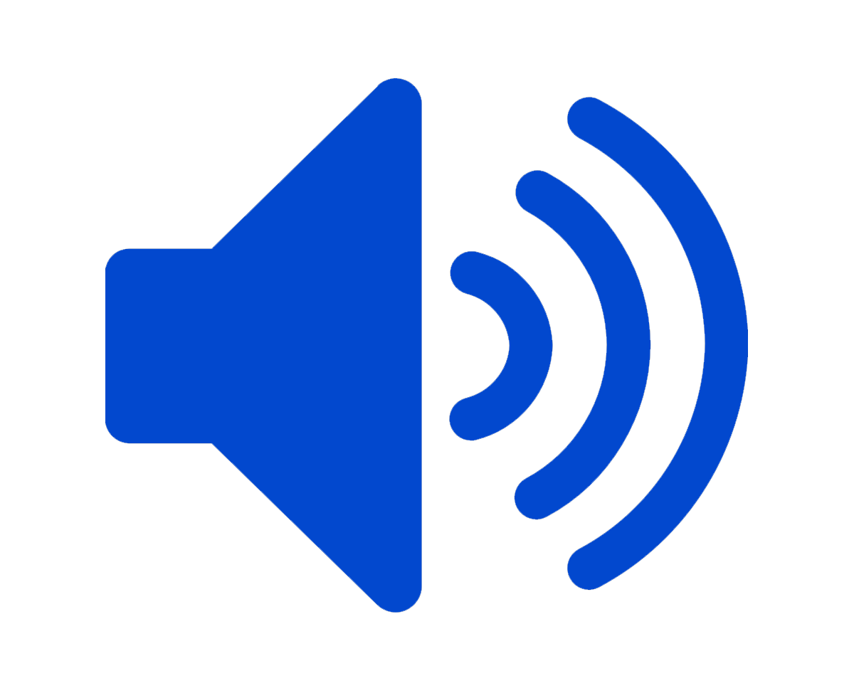 Hi-Fi Speaker